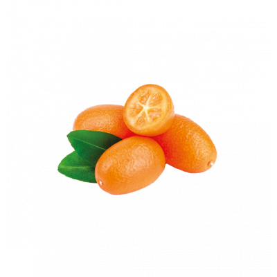 Kumquat