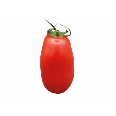 Tomate Torino