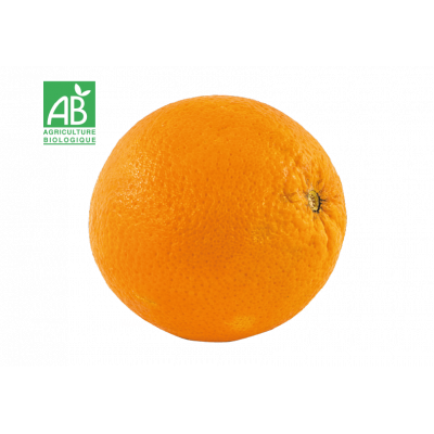Orange navel bio