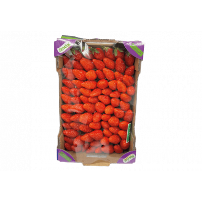 Cagette Fraise Gariguette