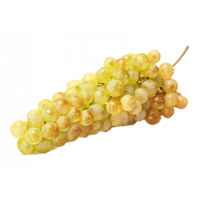 Raisin Chasselas