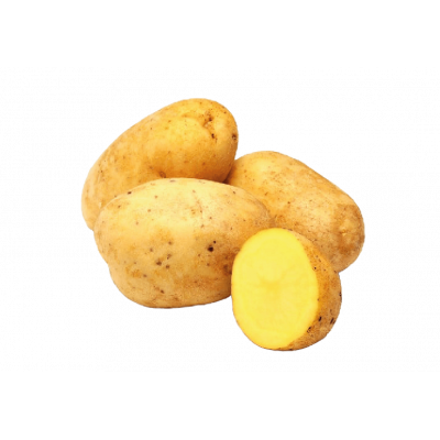 Pomme de terre Spunta