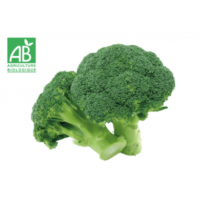 Brocoli bio
