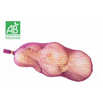 Ail blanc bio