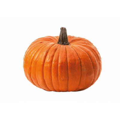 Citrouille halloween