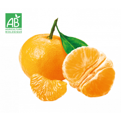 Clémentine corse bio