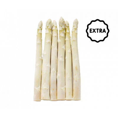Asperge blanche extra