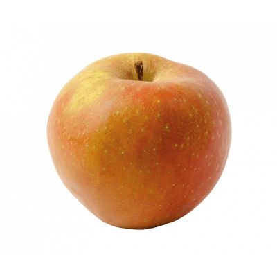 Pomme boskoop