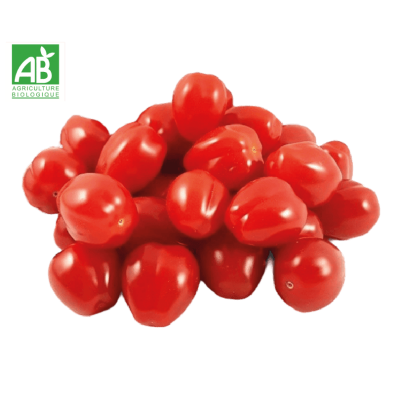Tomate coeur de pigeon bio