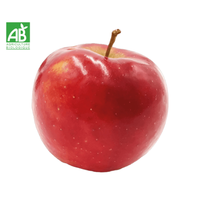 Pomme Pixie bio mini