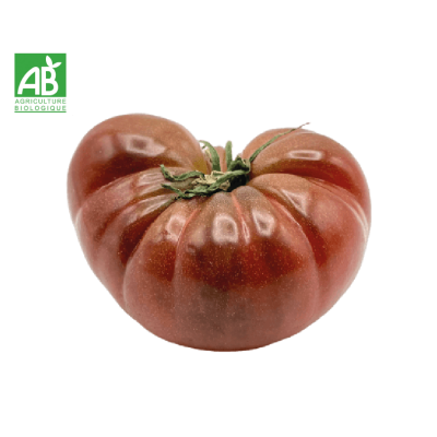 Tomate côtelée noire bio