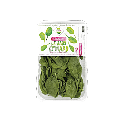 Pousse épinard barquette