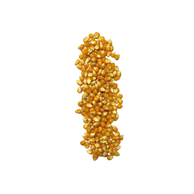Maïs Pop Corn
