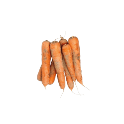 Carotte de sables