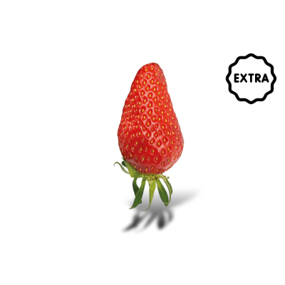 Fraise Gariguette