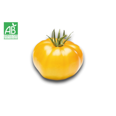 Tomate ananas bio