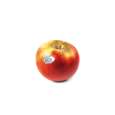 Pomme Reine des Reinettes petite