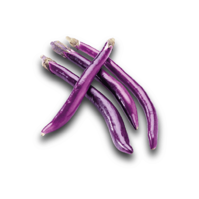 Aubergine longue