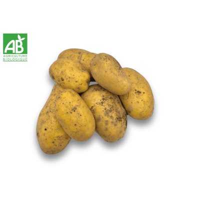 Pomme de terre bio