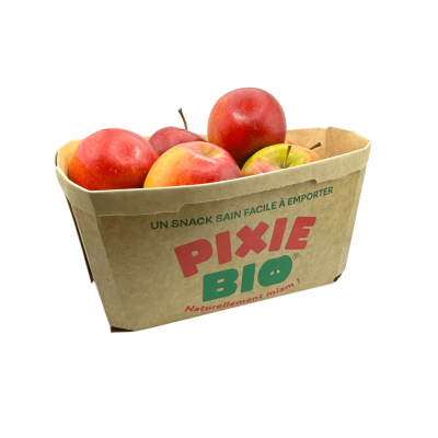 Pomme Pixie bio mini