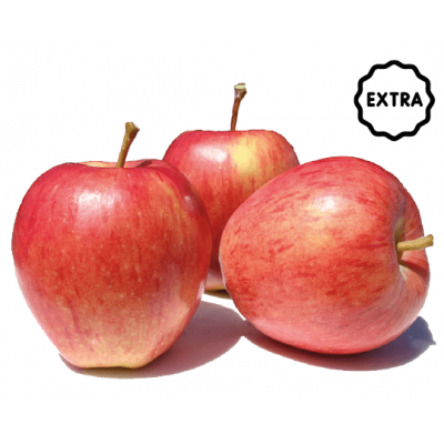 Pomme Royal Gala Extra
