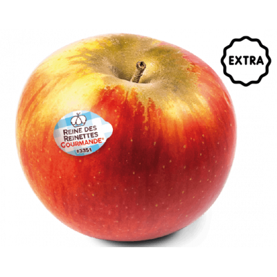 Pomme Reine des Reinettes Extra