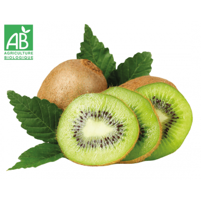 Kiwi vert bio