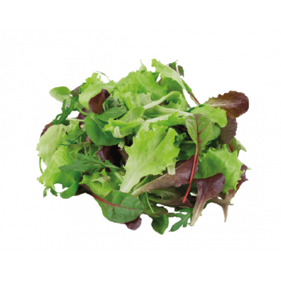Salade Mesclun