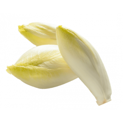 Endive