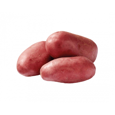 Pomme de terre Roseval