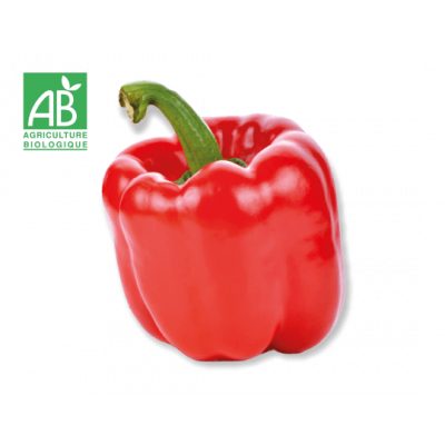 Poivron rouge bio