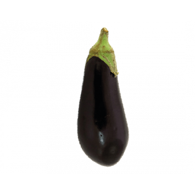 Aubergine