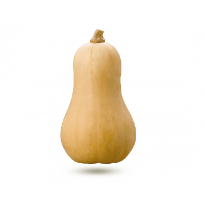 Courge Butternut