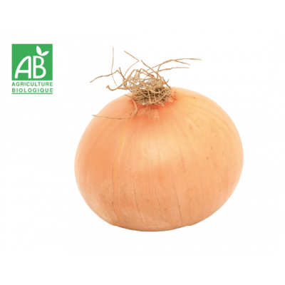 Oignon jaune bio
