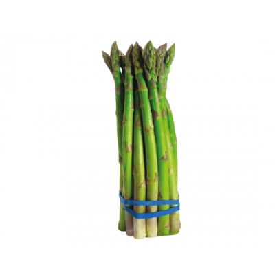 Asperge verte botte