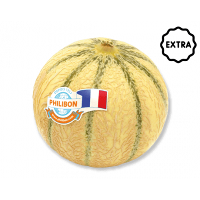 Melon charentais Extra