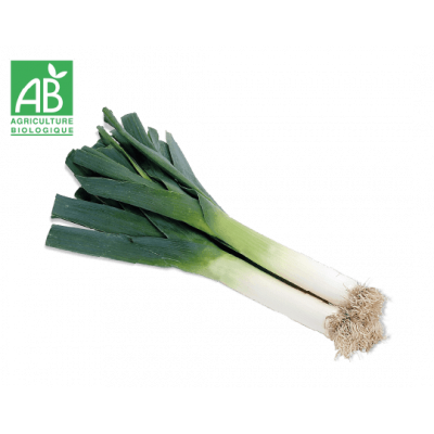 Poireau bio