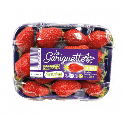Fraise Gariguette