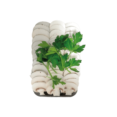 Champignon blanc coupé