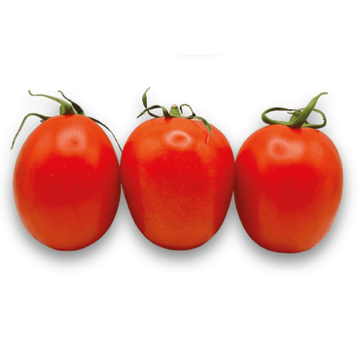 Tomate Roma