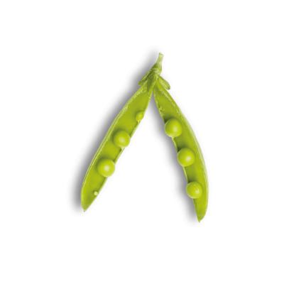 Petit pois épluchés