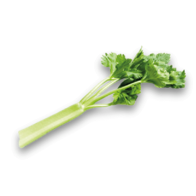 Céleri branche