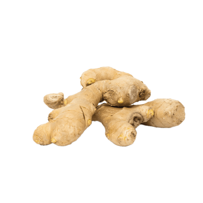 Gingembre