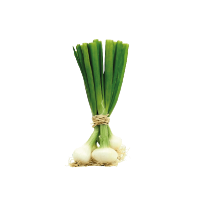 Oignon blanc botte