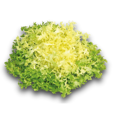 Salade Frisée