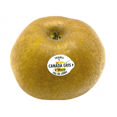 Pomme Canada grise