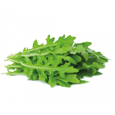 Salade Roquette