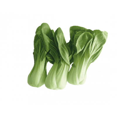 Salade Pak Choi