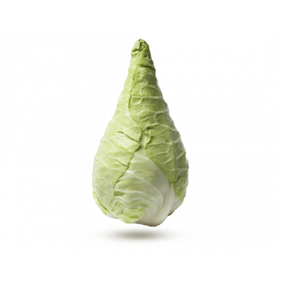 Chou pointu ou nouveau