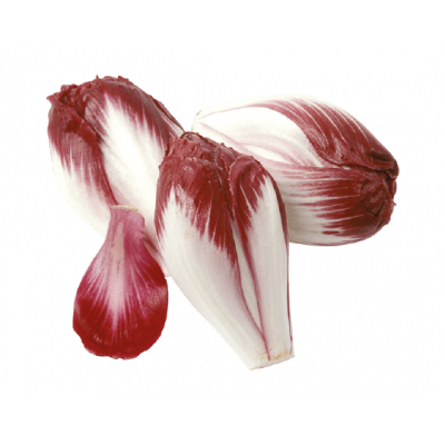 Endive Carmine